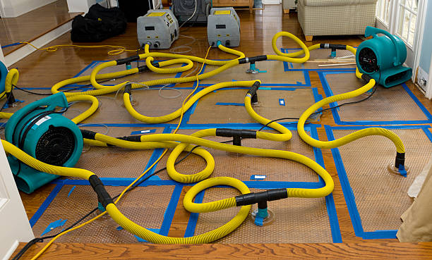 Professional Storm Water Damage Restoration technician working in La Salle, TX